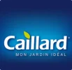 Caillard